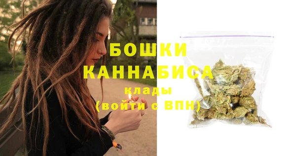 индика Кулебаки