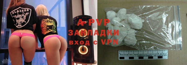 индика Кулебаки