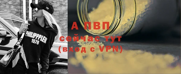 индика Кулебаки