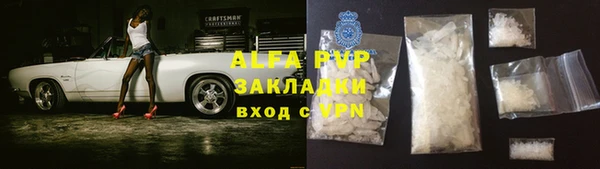 индика Кулебаки