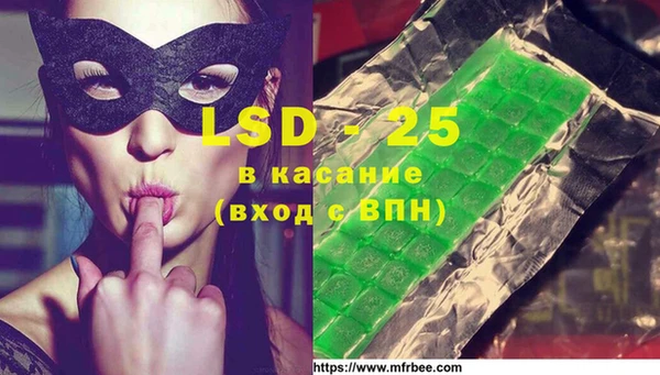 индика Кулебаки