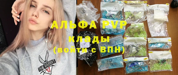 индика Кулебаки