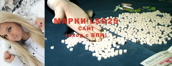 индика Кулебаки