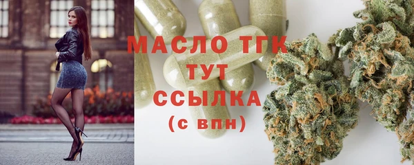 индика Кулебаки