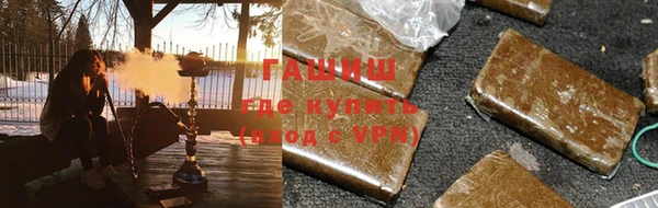индика Кулебаки