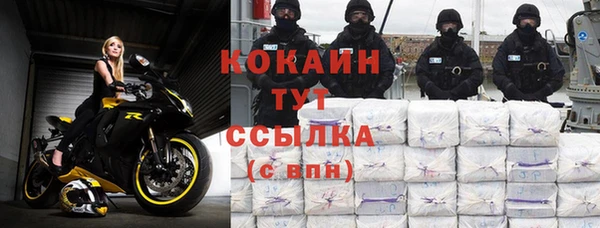 индика Кулебаки