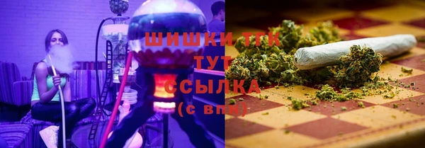 индика Кулебаки