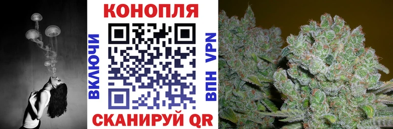 Купить  Калач  Конопля LSD WEED 